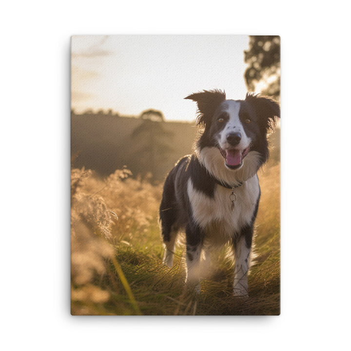 Border Collie Canvas - PosterfyAI.com