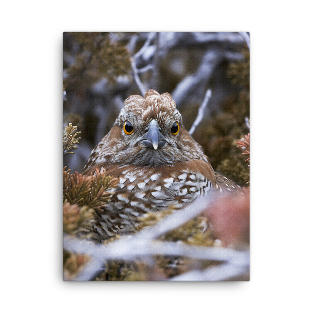 Grouse Canvas - PosterfyAI.com