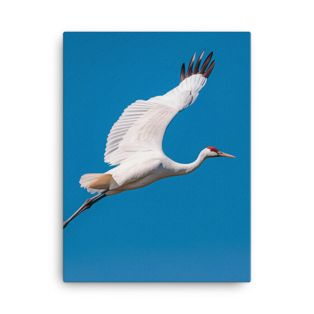 Crane Canvas - PosterfyAI.com