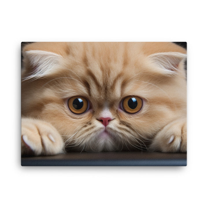 Exotic Shorthair Canvas - PosterfyAI.com