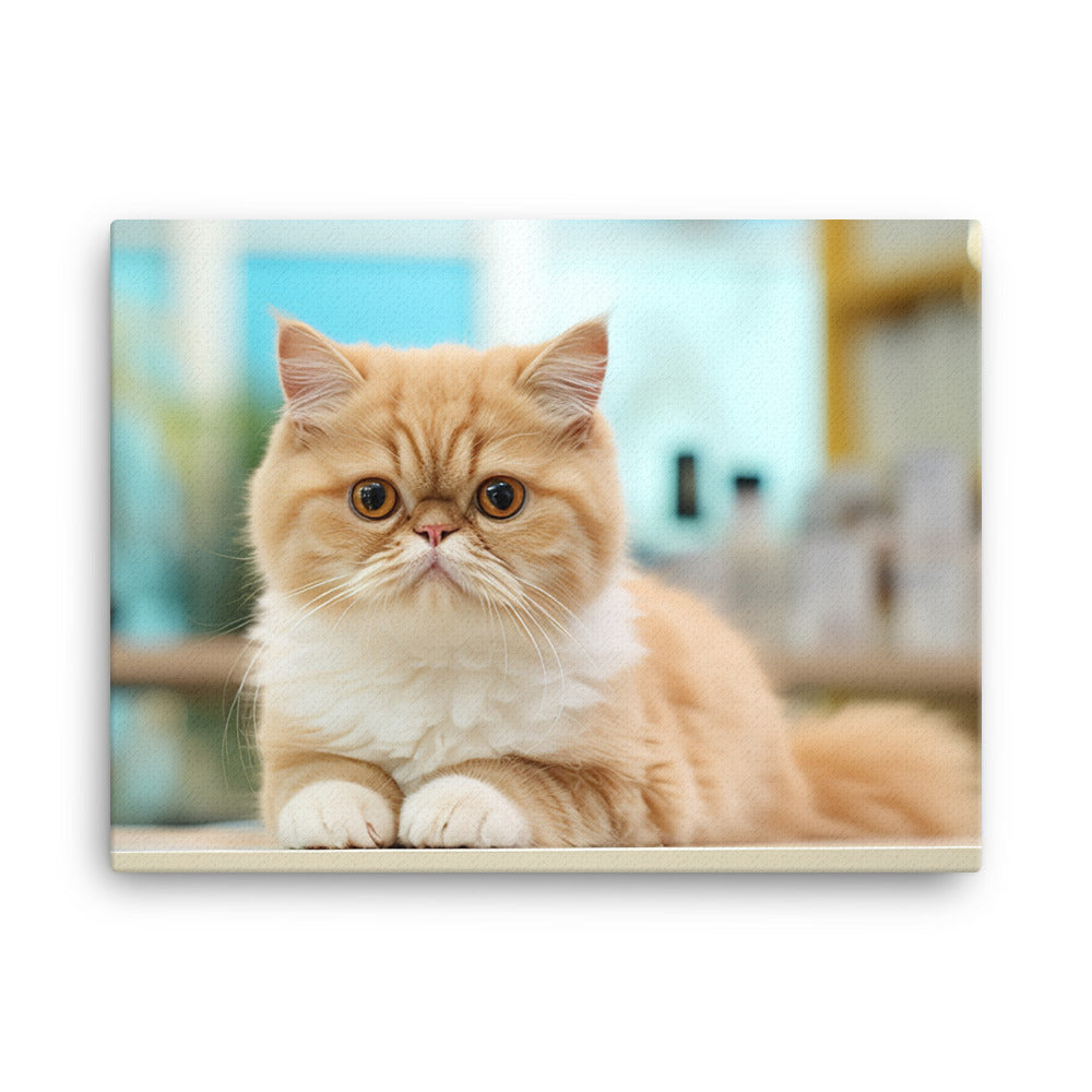 Exotic Shorthair Pharmacist Canvas - PosterfyAI.com