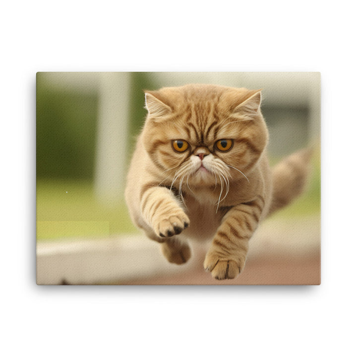 Exotic Shorthair Canvas - PosterfyAI.com