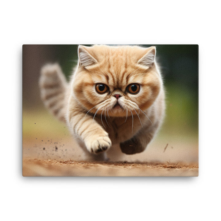 Exotic Shorthair Canvas - PosterfyAI.com