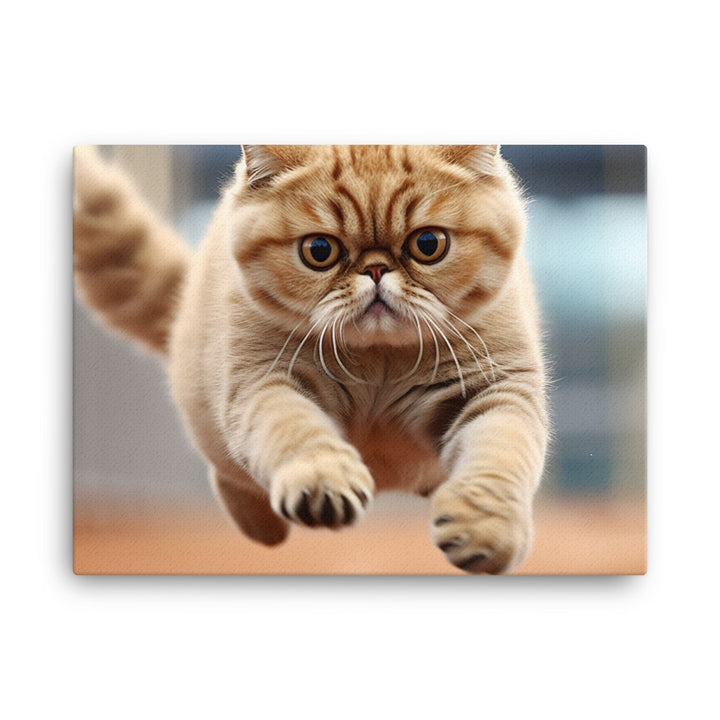 Exotic Shorthair Canvas - PosterfyAI.com