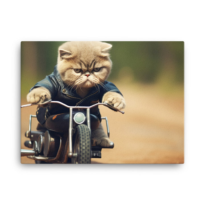 Exotic Shorthair Superbike Athlete Canvas - PosterfyAI.com