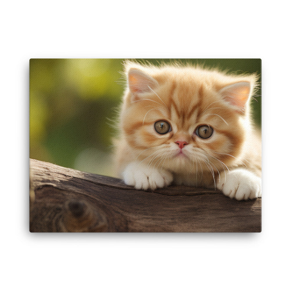 Exotic Shorthair Canvas - PosterfyAI.com