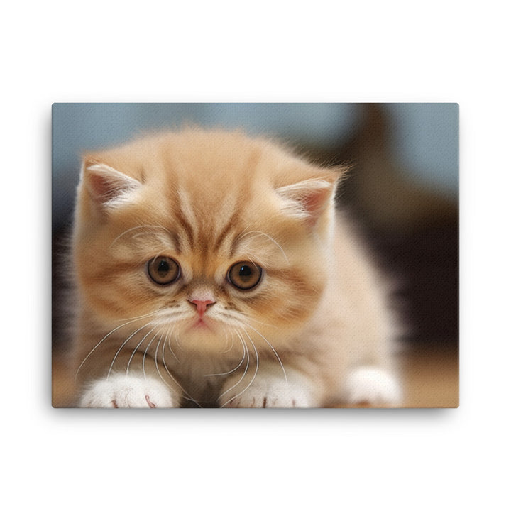 Exotic Shorthair Canvas - PosterfyAI.com