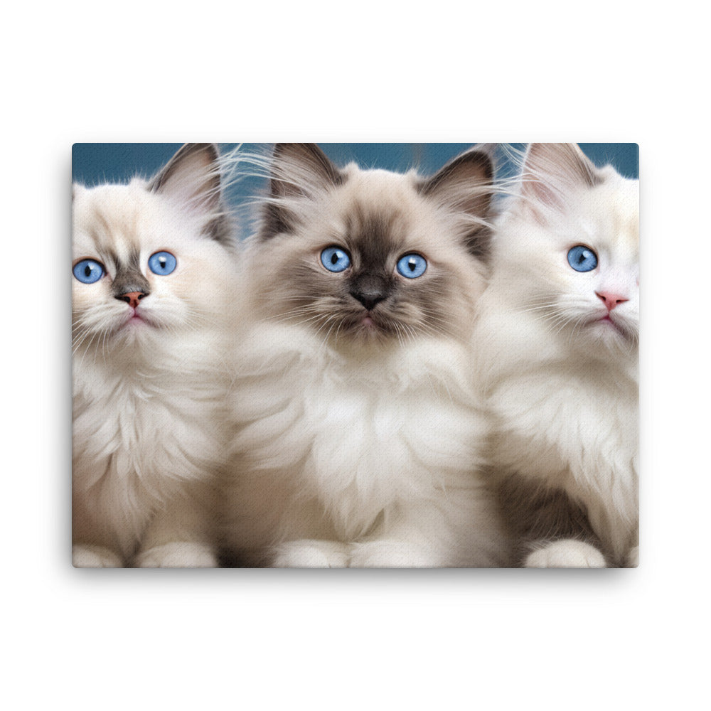 Ragdoll Canvas - PosterfyAI.com