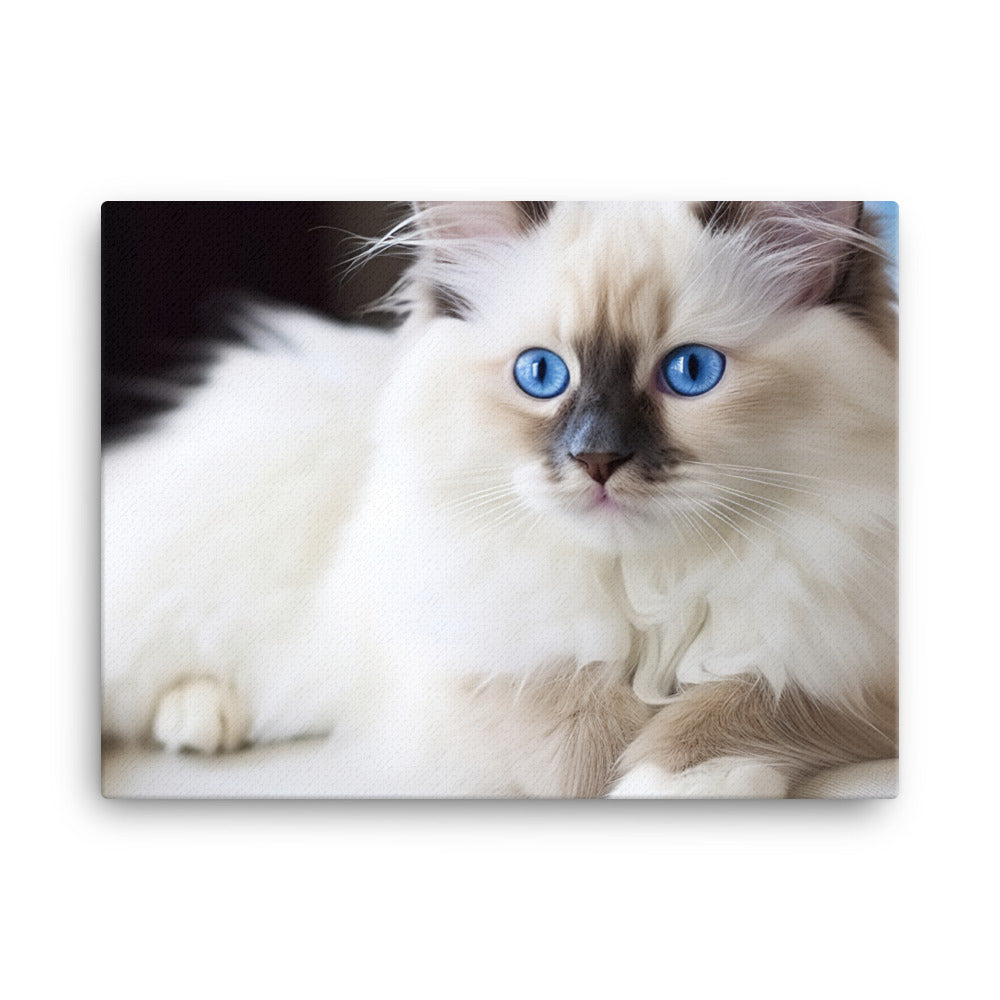 Ragdoll Canvas - PosterfyAI.com