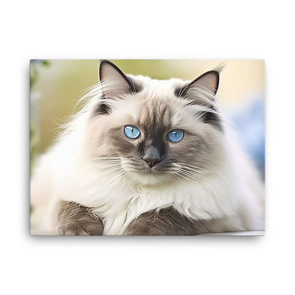 Ragdoll Canvas - PosterfyAI.com