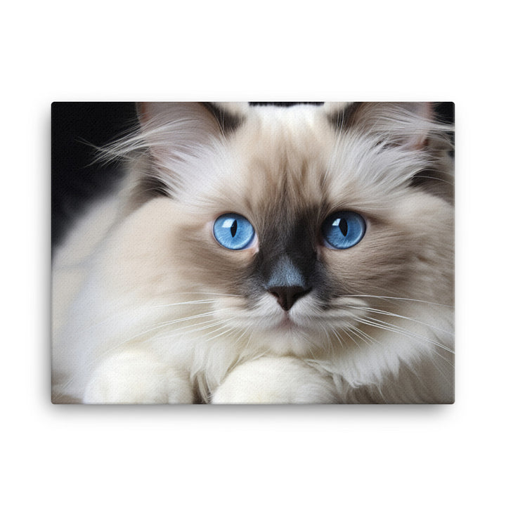 Ragdoll Canvas - PosterfyAI.com