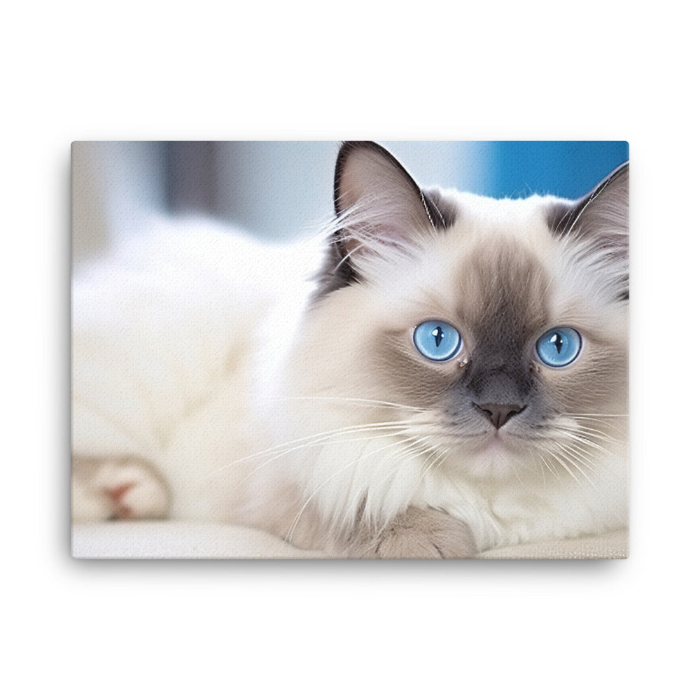 Ragdoll Canvas - PosterfyAI.com