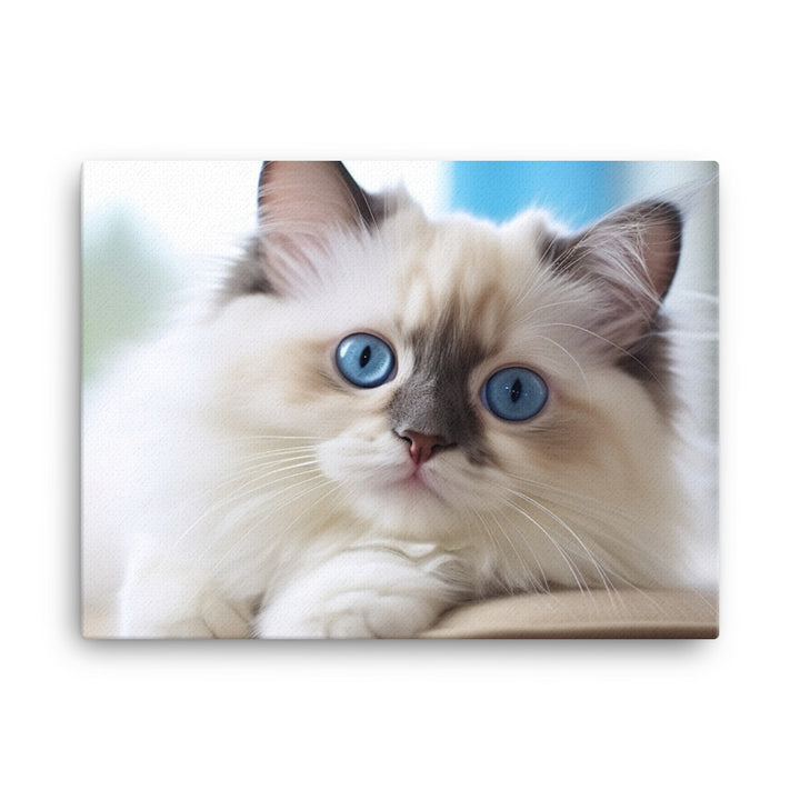 Ragdoll Canvas - PosterfyAI.com