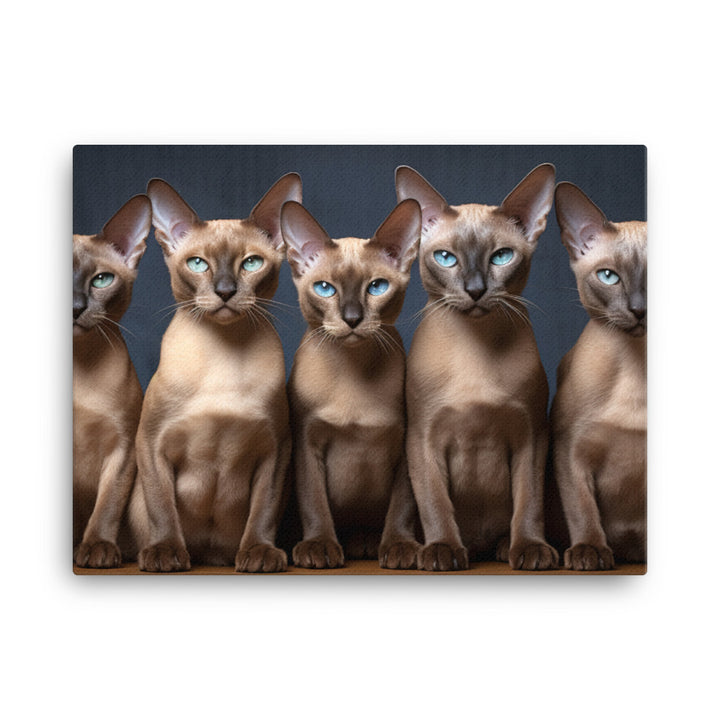 Tonkinese Canvas - PosterfyAI.com