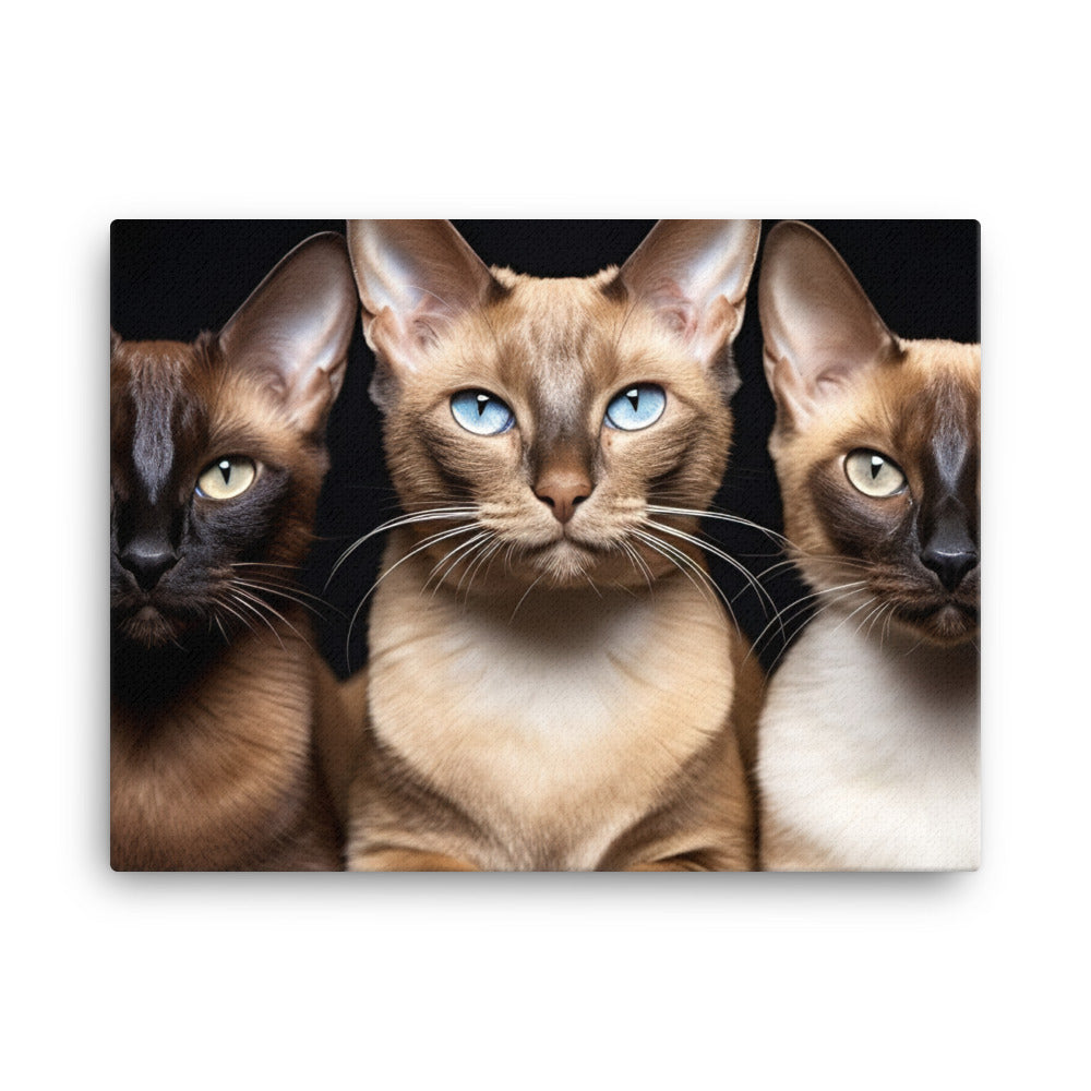 Tonkinese Canvas - PosterfyAI.com