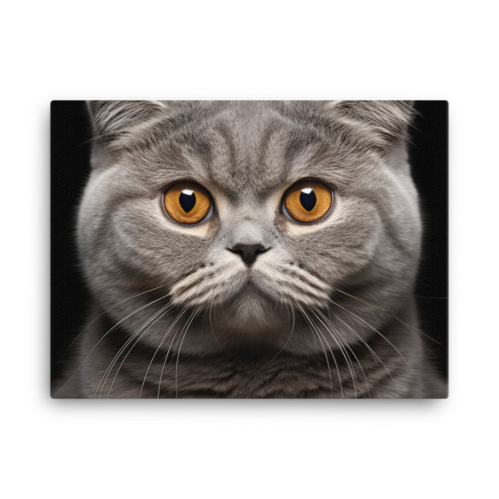 Scottish Fold Canvas - PosterfyAI.com