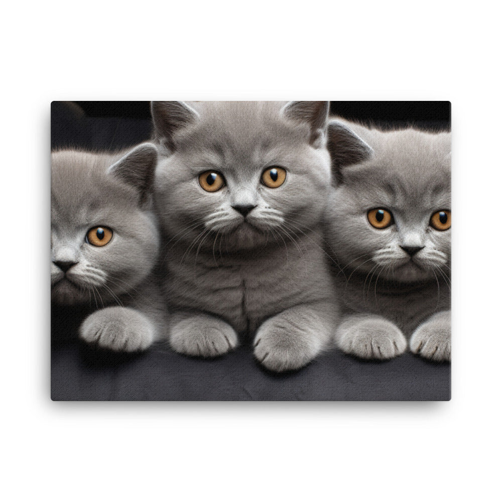 British Shorthair Canvas - PosterfyAI.com