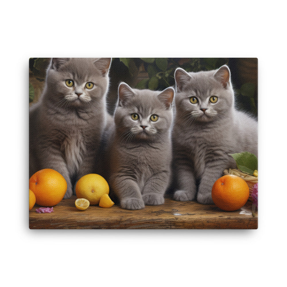 British Shorthair Canvas - PosterfyAI.com