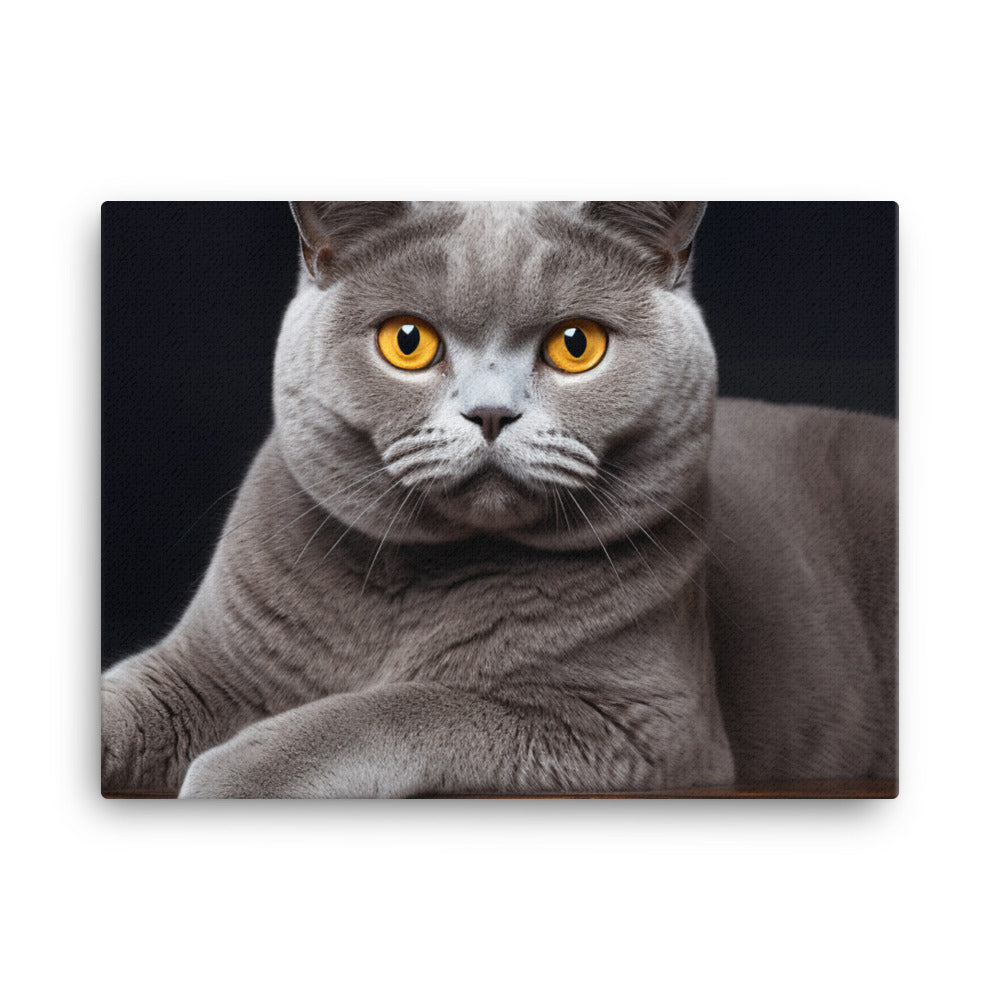 British Shorthair Canvas - PosterfyAI.com