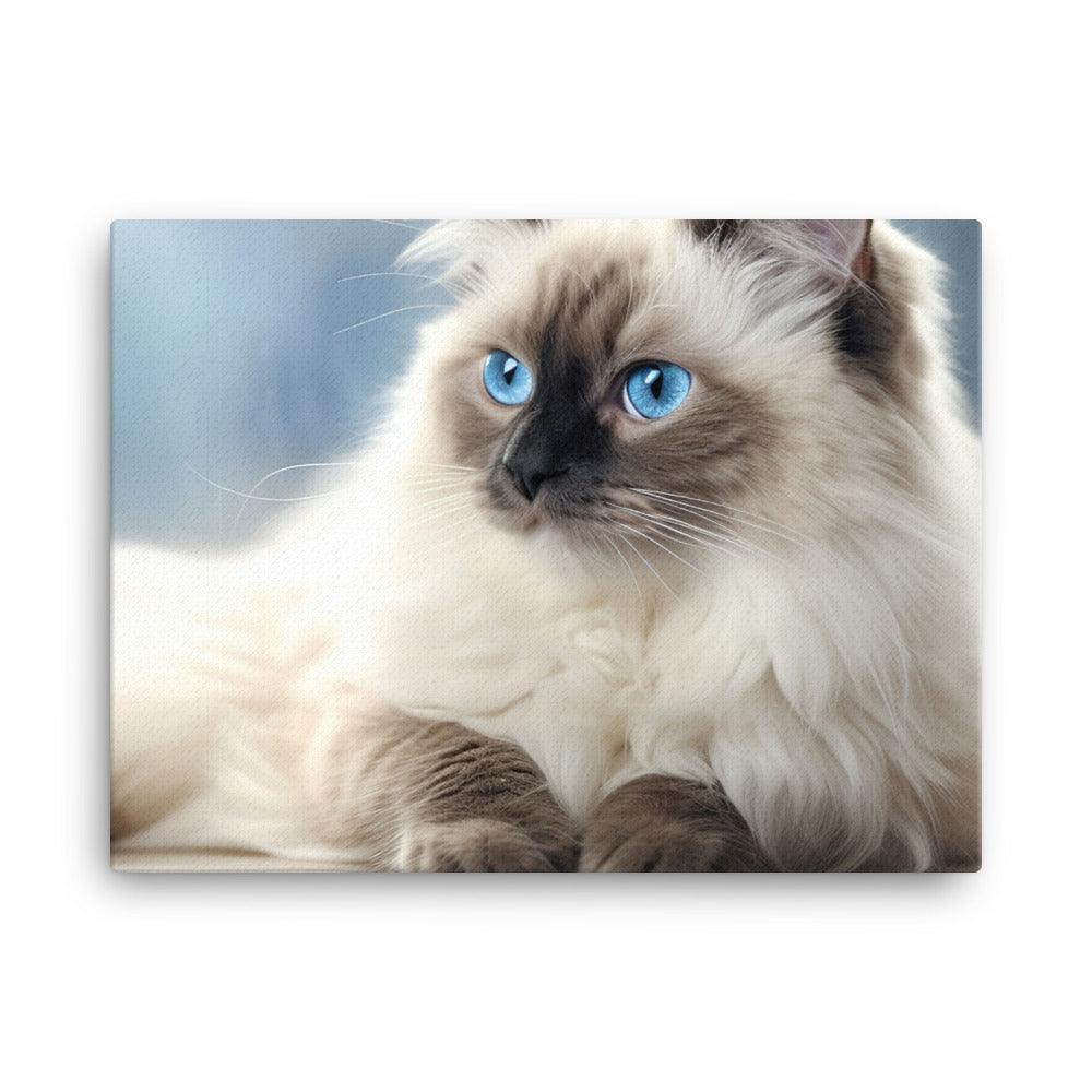 Birman Canvas - PosterfyAI.com