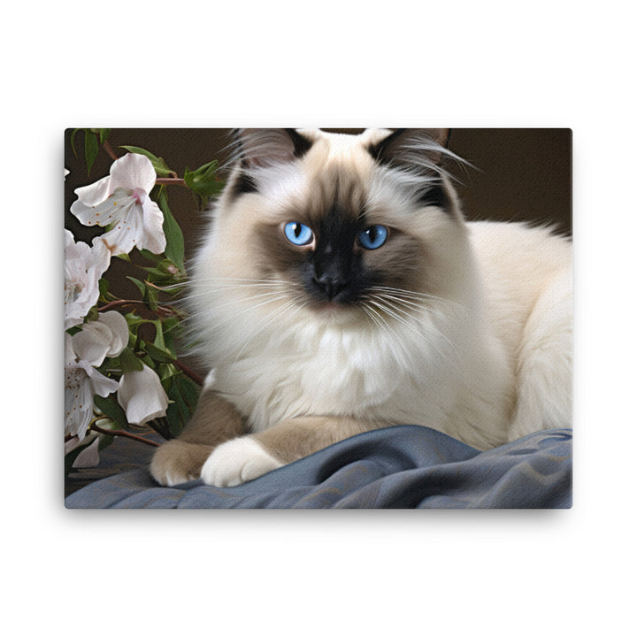 Birman Canvas - PosterfyAI.com