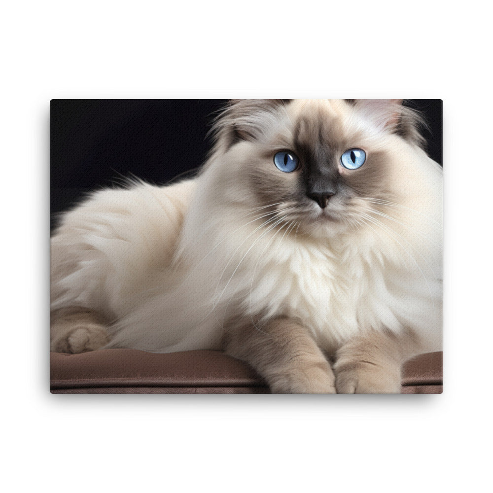 Birman Canvas - PosterfyAI.com