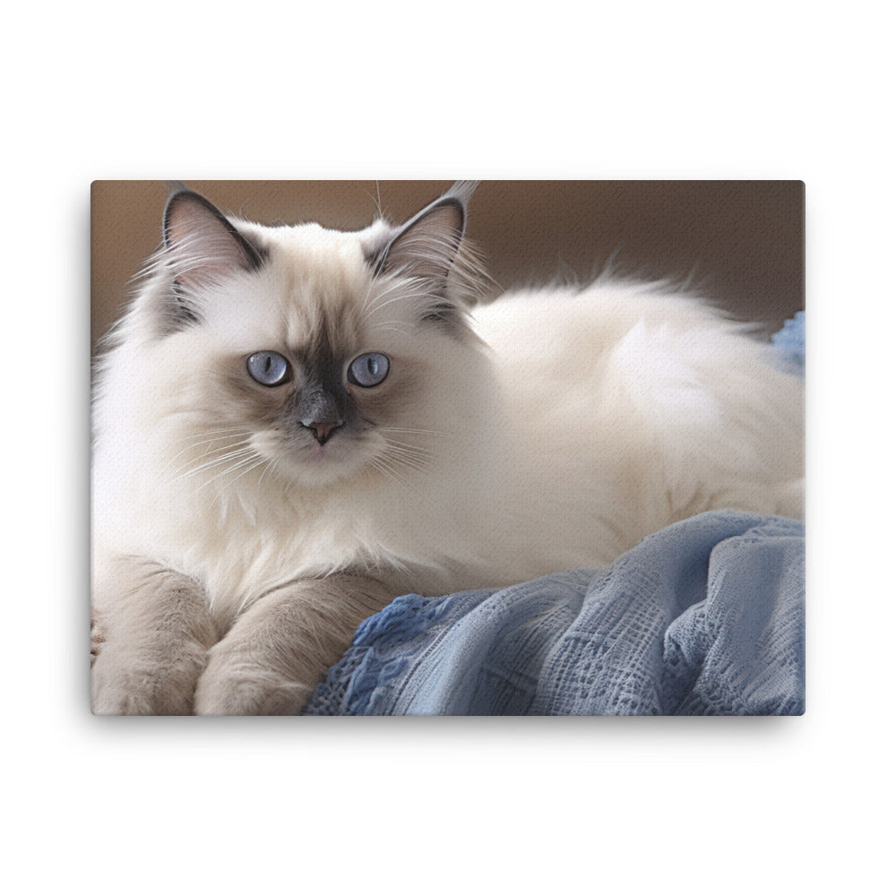 Birman Canvas - PosterfyAI.com