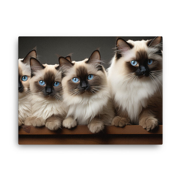 Birman Canvas - PosterfyAI.com