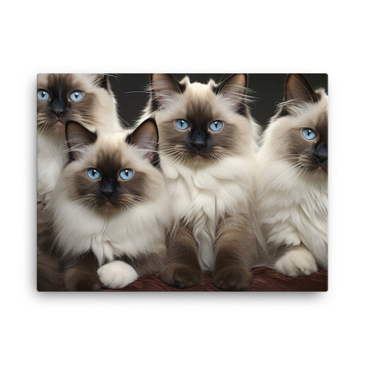 Birman Canvas - PosterfyAI.com