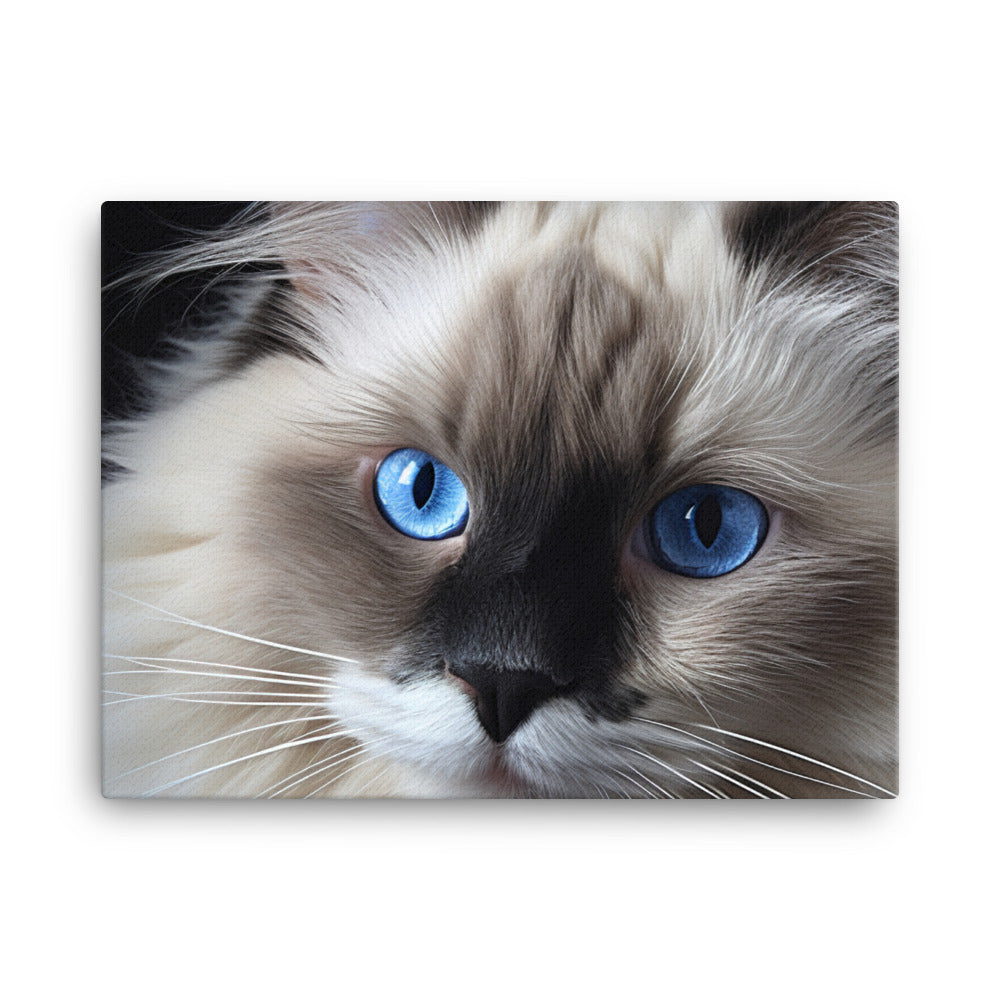 Birman Canvas - PosterfyAI.com