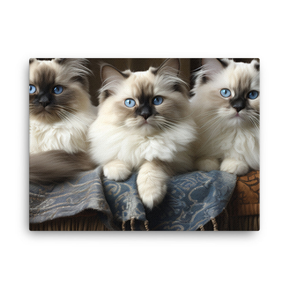 Birman Canvas - PosterfyAI.com