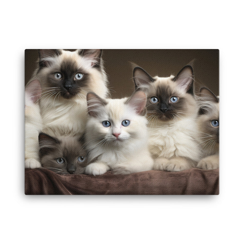 Birman Canvas - PosterfyAI.com