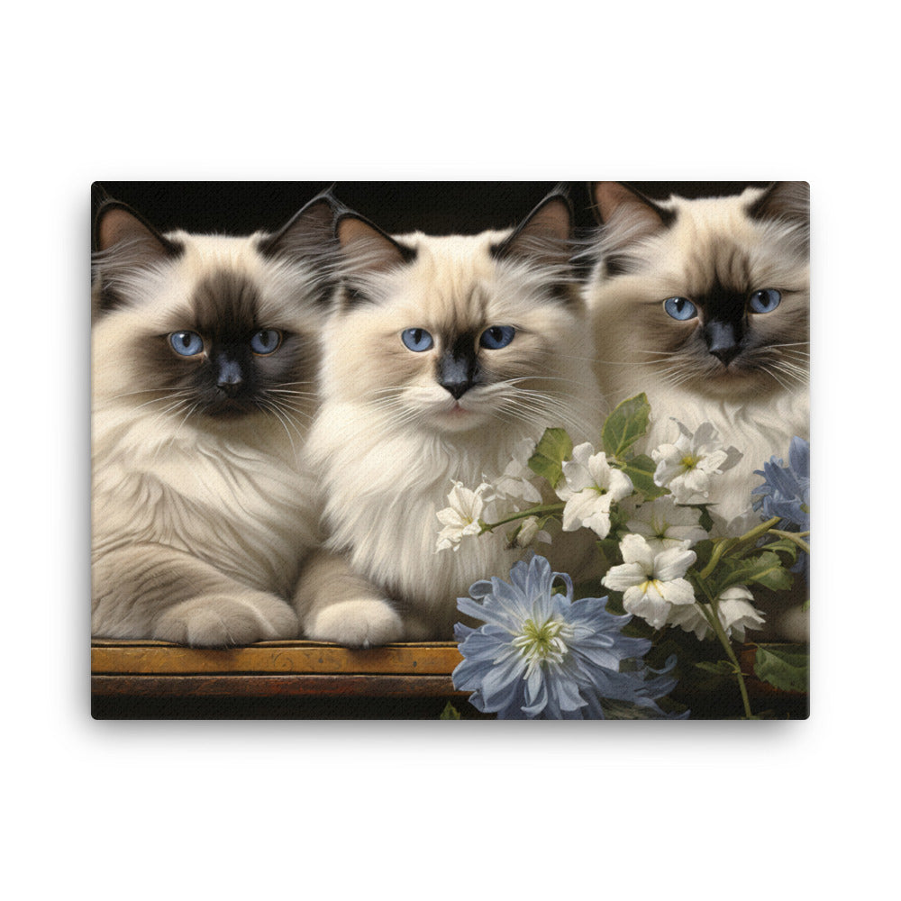 Birman Canvas - PosterfyAI.com