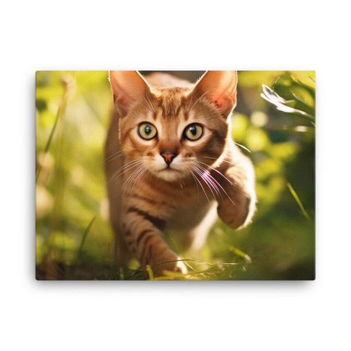 Abyssinian Canvas - PosterfyAI.com