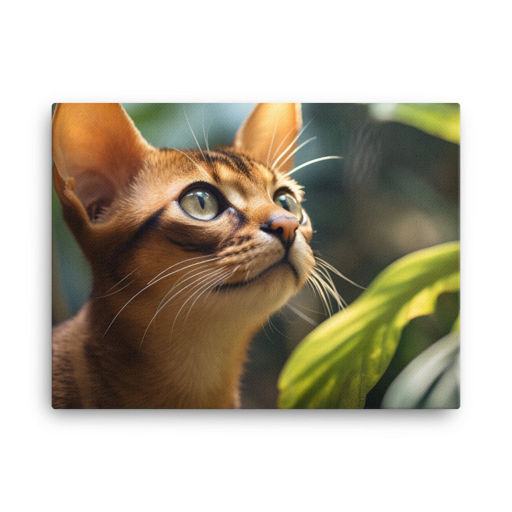 Abyssinian Canvas - PosterfyAI.com