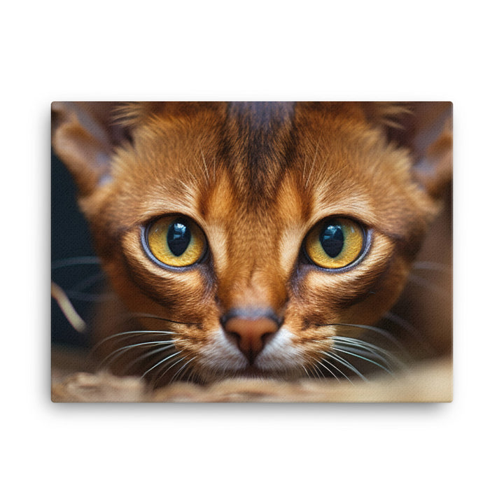 Abyssinian Canvas - PosterfyAI.com