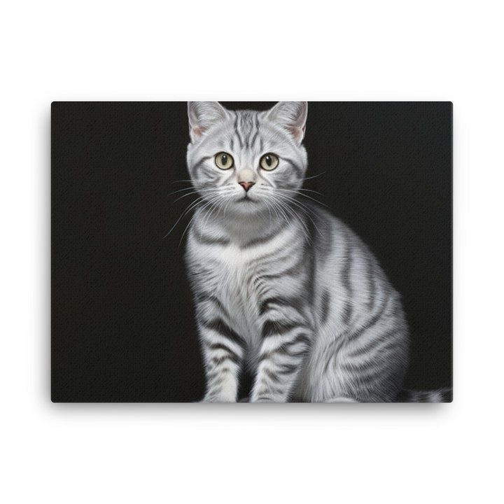 American Shorthair Canvas - PosterfyAI.com