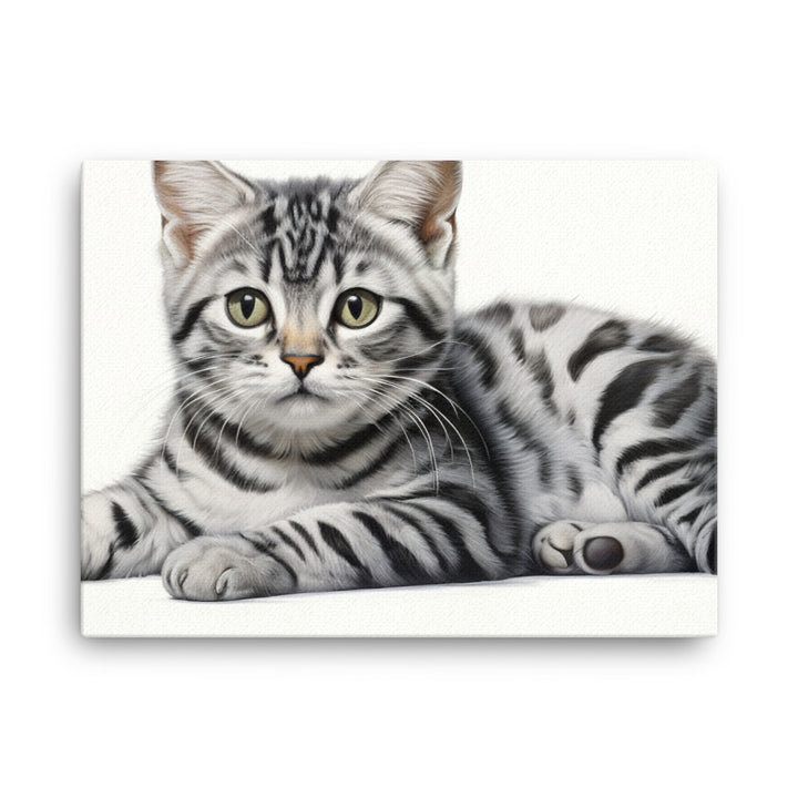 American Shorthair Canvas - PosterfyAI.com