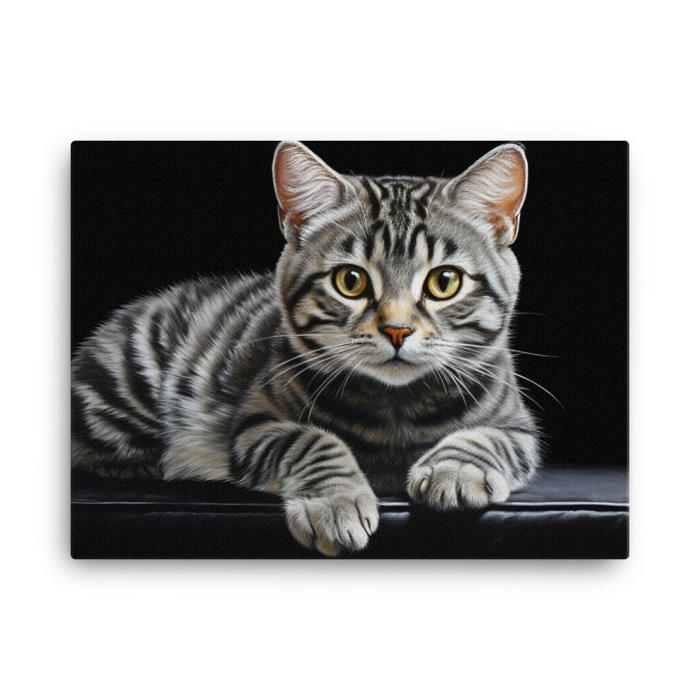 American Shorthair Canvas - PosterfyAI.com