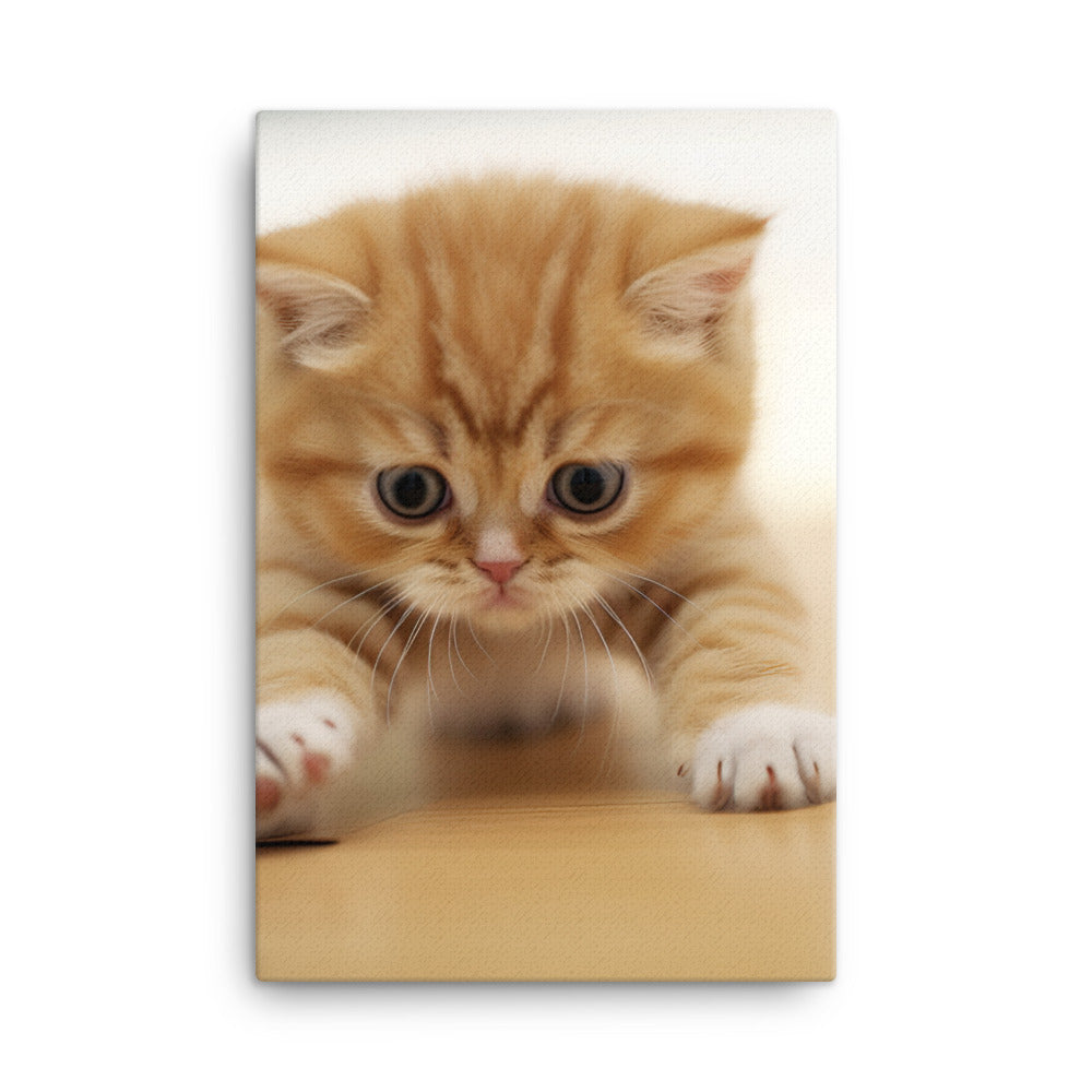 Exotic Shorthair Kitten Canvas - PosterfyAI.com