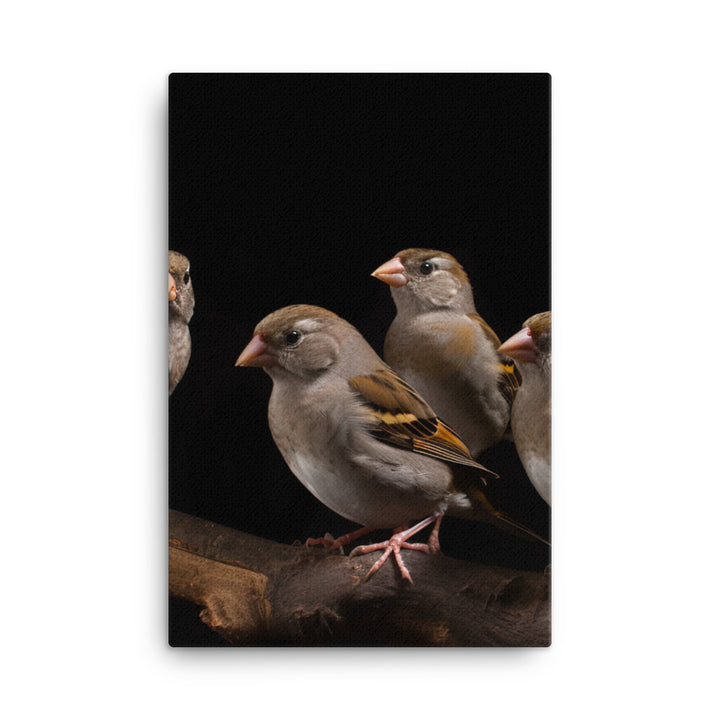 Flock of Society Finches Canvas - PosterfyAI.com