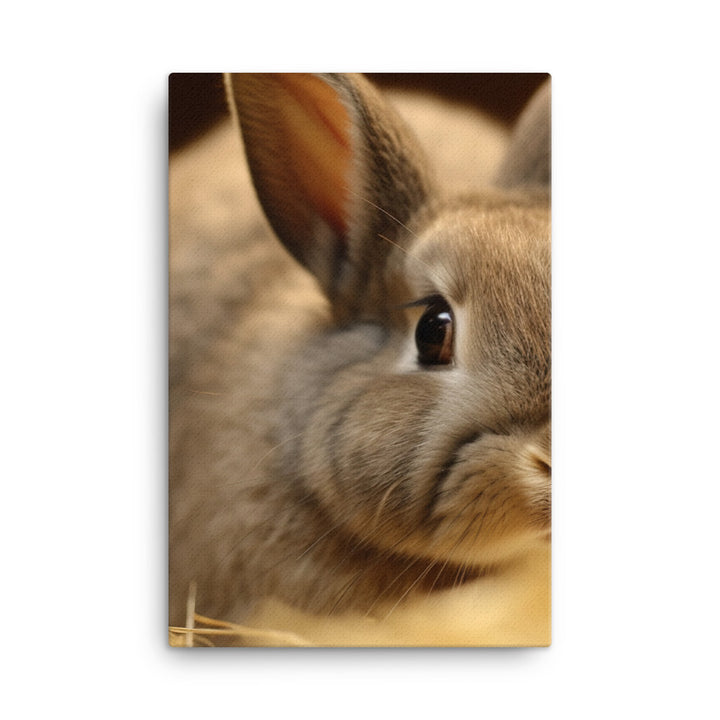 Netherland Dwarf Bunny Canvas - PosterfyAI.com