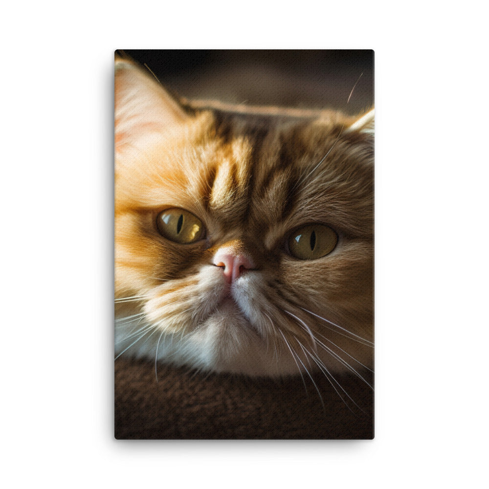 Exotic Shorthair Cat Canvas - PosterfyAI.com