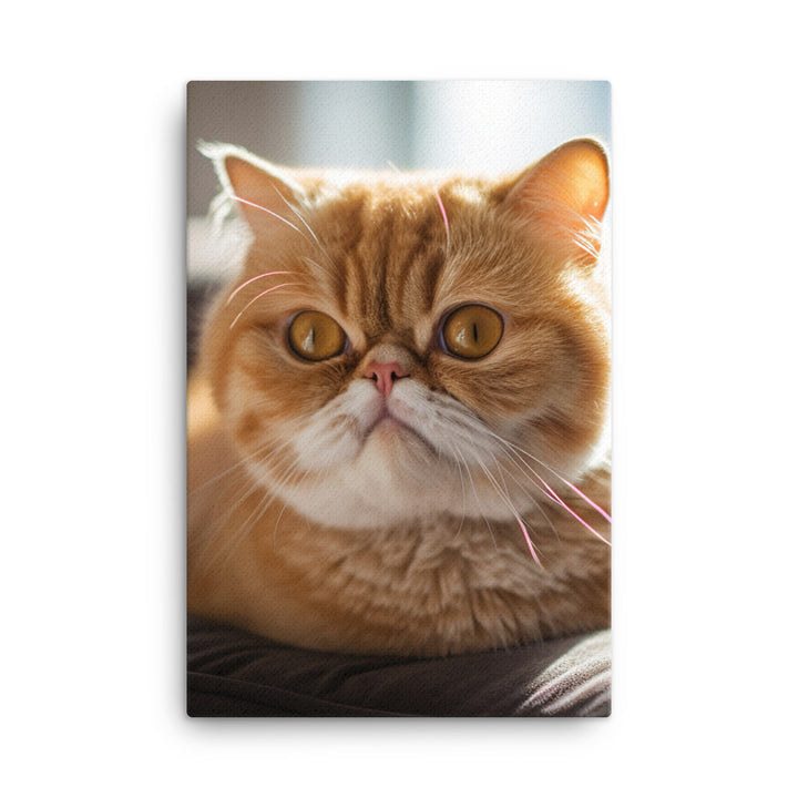 Exotic Shorthair Cat Canvas - PosterfyAI.com