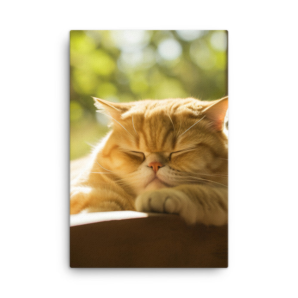 Exotic Shorthair Cat Napping Canvas - PosterfyAI.com