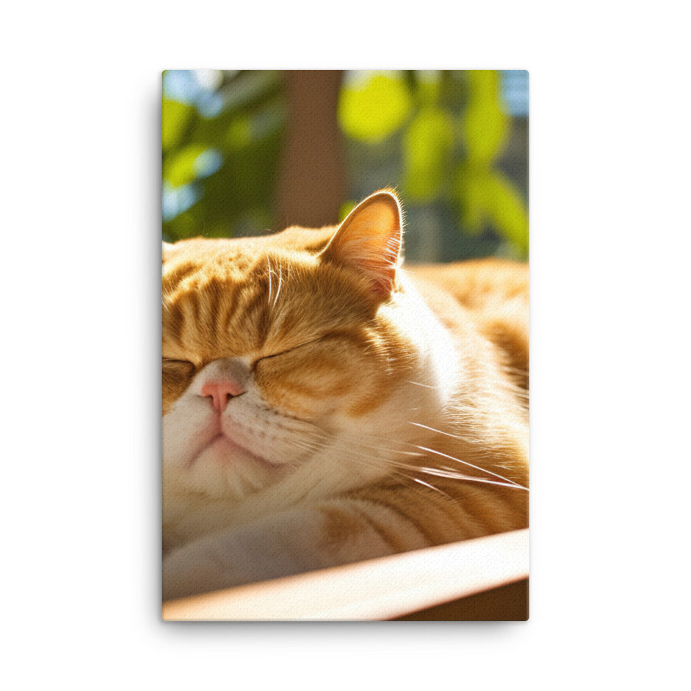 Exotic Shorthair Cat Napping Canvas - PosterfyAI.com