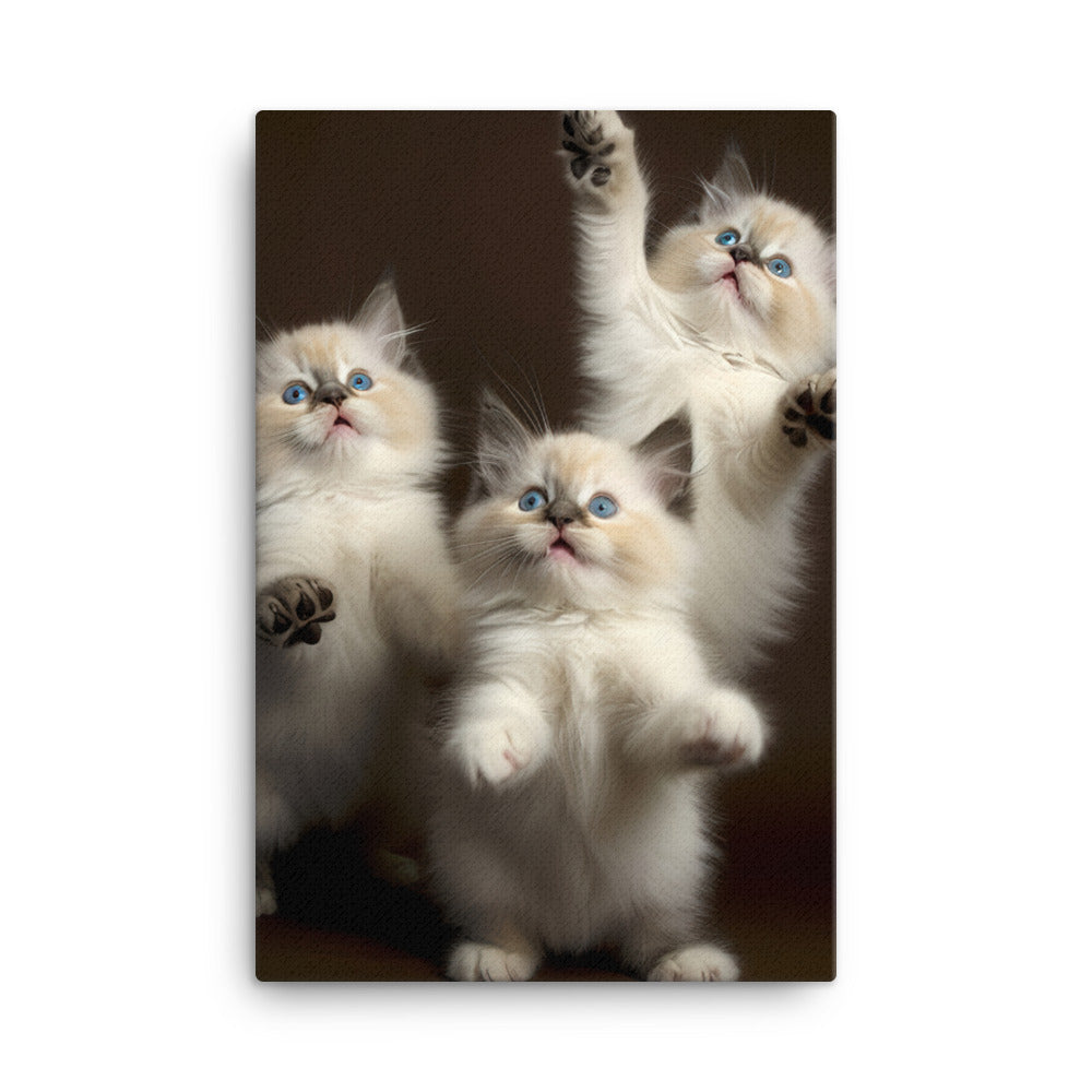 Ragdoll Kitten Canvas - PosterfyAI.com