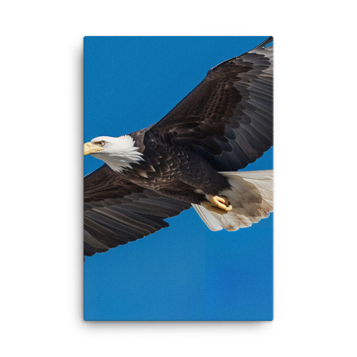 Beautiful Bald Eagle in Flight Against the Blue Sky Canvas - PosterfyAI.com