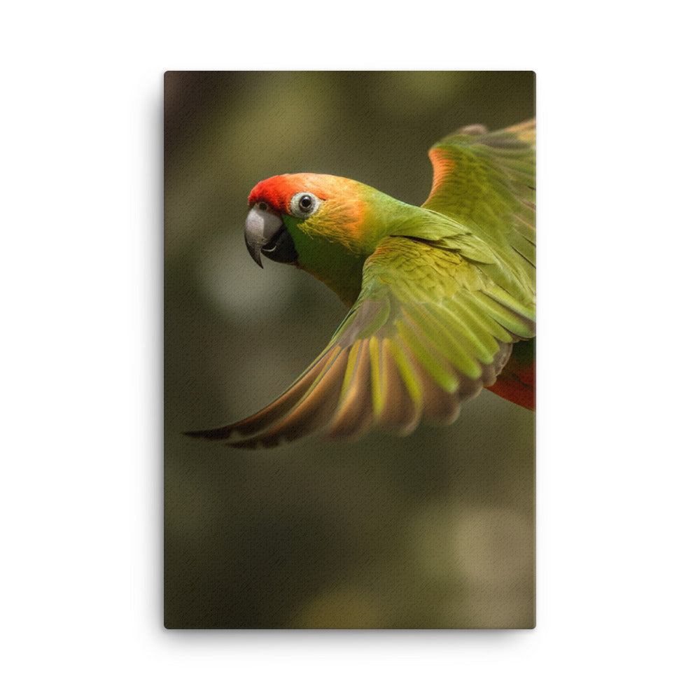 A Conure in mid flight Canvas - PosterfyAI.com