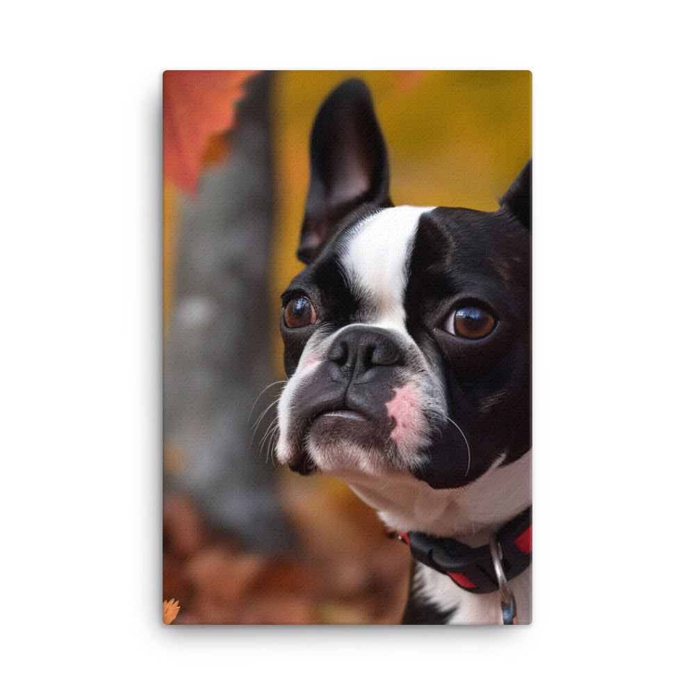 Boston Terrier with Fall Colors Canvas - PosterfyAI.com